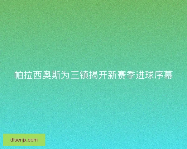 帕拉西奥斯为三镇揭开新赛季进球序幕 帕拉西奥斯为三镇揭开新赛季进球序幕